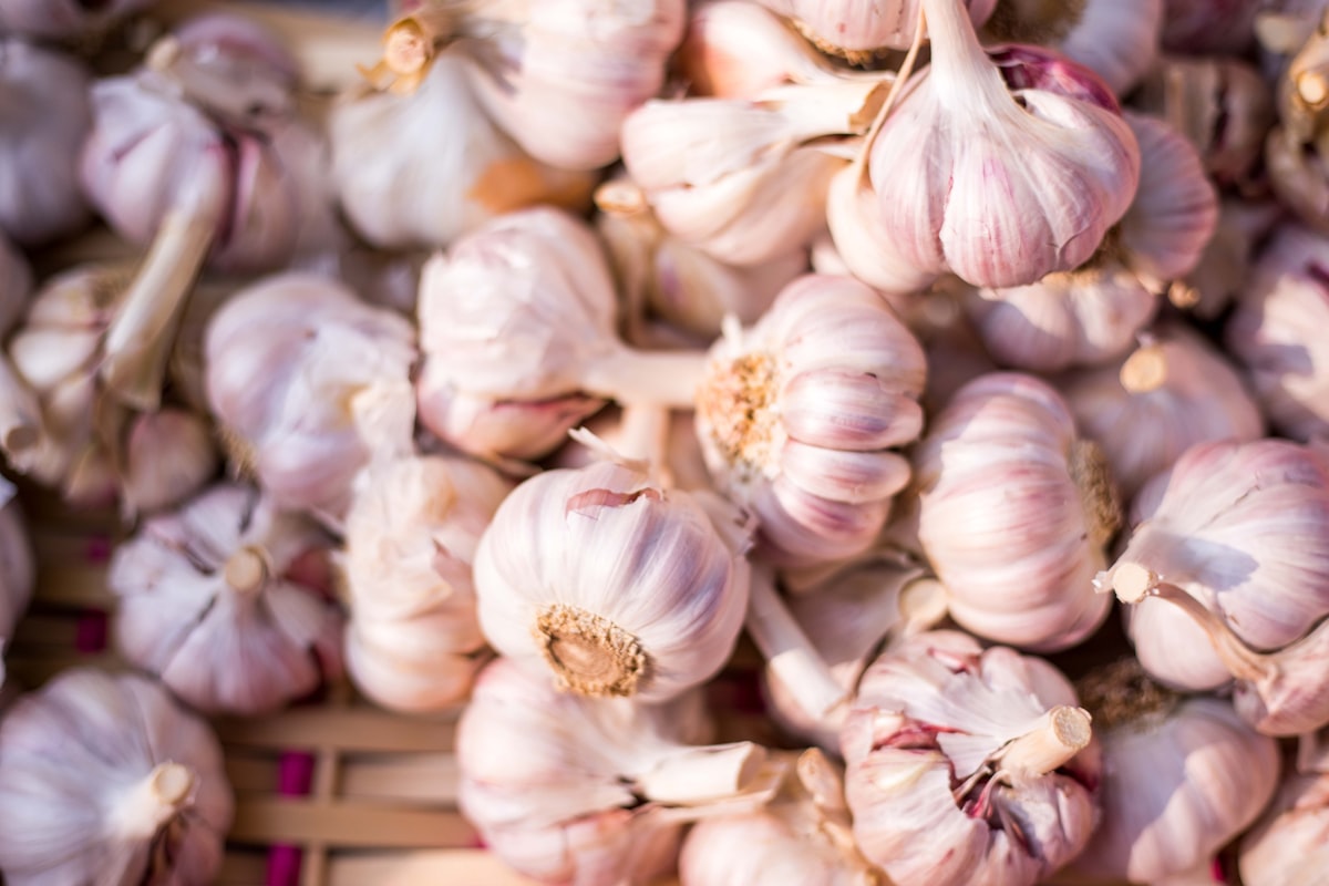 Aglio nella cucina internazionale